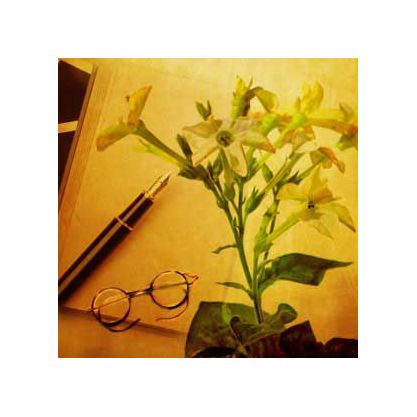 TOBACCO OIL TOBACCO OIL