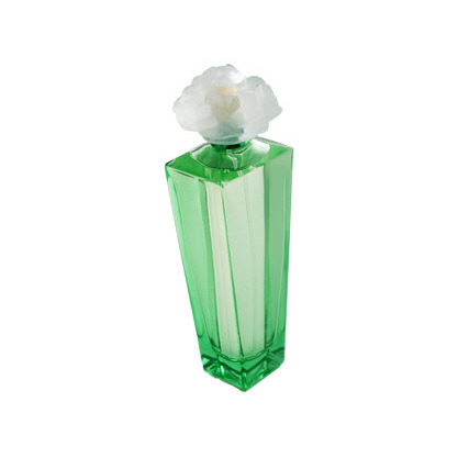 Gardenia Gardenia