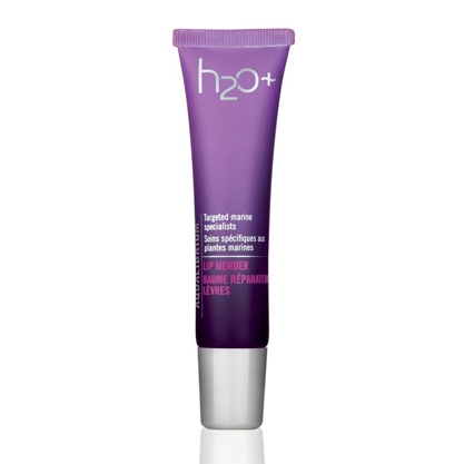 Aqualibrium Lip Mender Aqualibrium Lip Mender