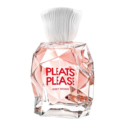 Pleates Please Pleates Please