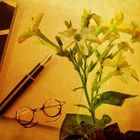 TOBACCO OIL by Natures Garden