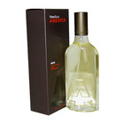 America by Perry Ellis