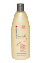 Kerasilk Rich Care Shampoo by Goldwell