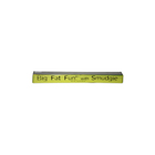 Bed Head Big Fat Fun with Smudgie Lip Liner by TIGI