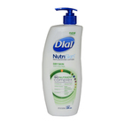 NutriSkin Replenishing Lotion by Dial
