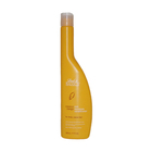 Coconut Mango Conditioner by Back to Basics