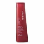 Color Endurance Shampoo by Joico