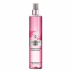 Cheering Rose by United Colors of Benetton
