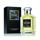Havana by Aramis
